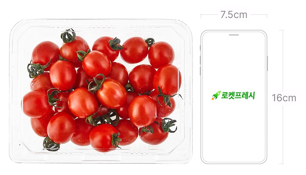 GuamPick Seutebia Daechu Cherry Tomato , 500 g, 1 Pack (곰곰 스테비아 대추방울토마토, 500g, 1팩)
