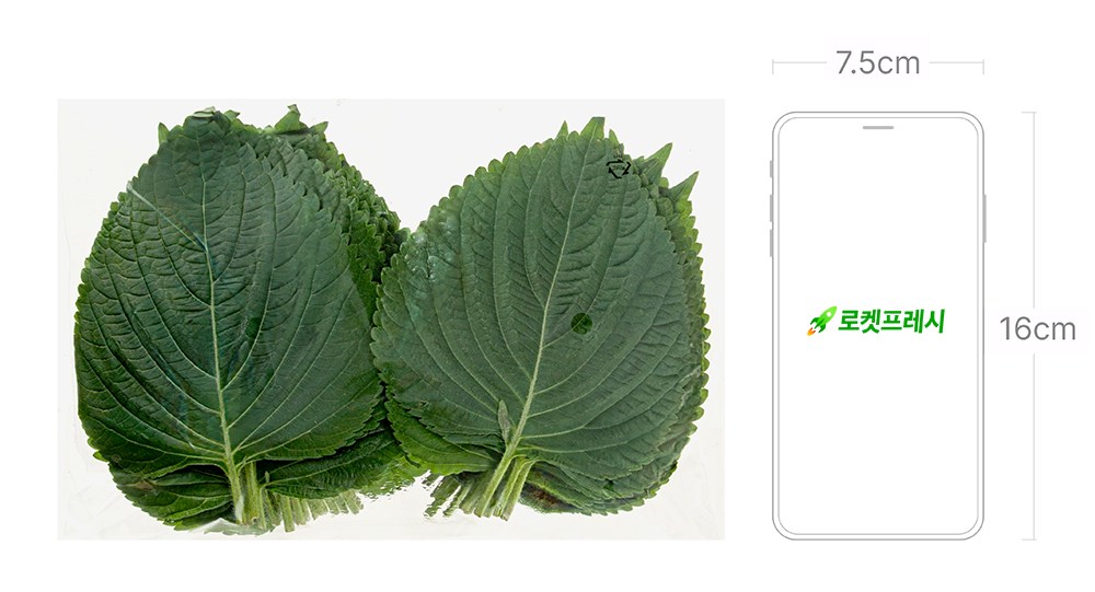 Domestic Eco-friendly Perilla Leaves , 100 g, 1 Pack (국내산 친환경 깻잎, 100g, 1개)