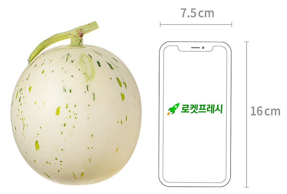 GuamPick High Sweetness Baekja Melon , 1.3 kg, 1 Pack (곰곰 고당도 백자 멜론, 1.3kg, 1개)