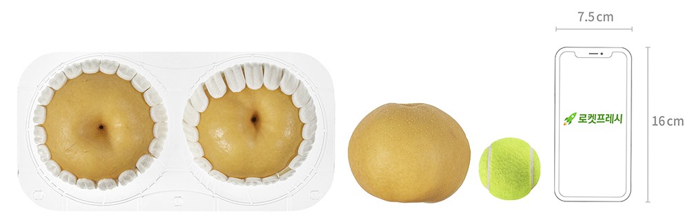 GuamPick Sweetness Seonbyeol Singo Pear , 1 kg(2 Pack ), 1 Pack (곰곰 당도선별 신고배, 1kg(2입), 1팩)