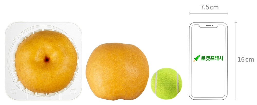 GuamPick Sweetness Seonbyeol Pear , 1 Pack (곰곰 당도선별 배, 1팩)