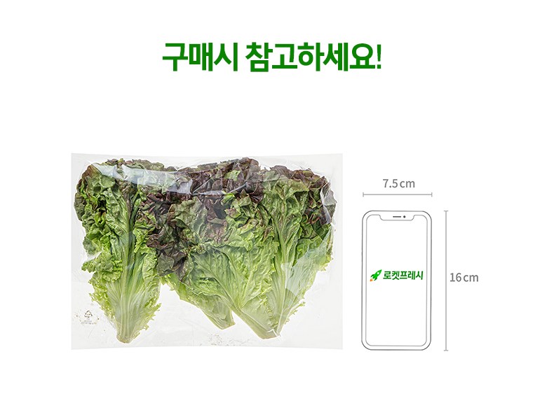 Eco-friendly Packets Gisangchu , 250 g, 1 Pack (친환경 포기상추, 250g, 1개)