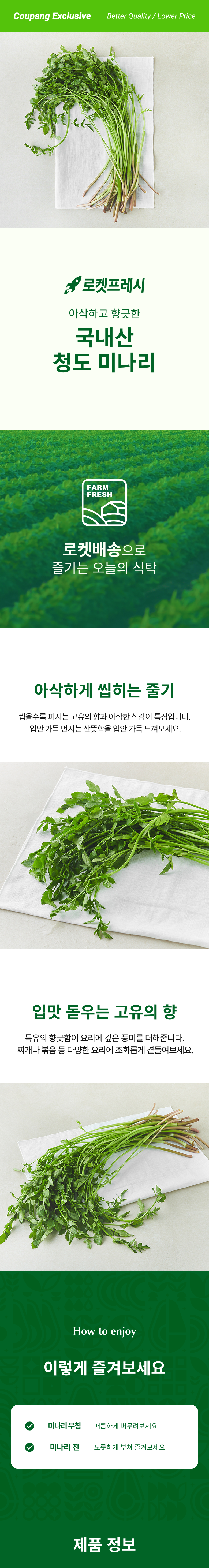 Cheongdo Water Dropwort , 500 g, 1 Bag (청도 미나리, 500g, 1봉)