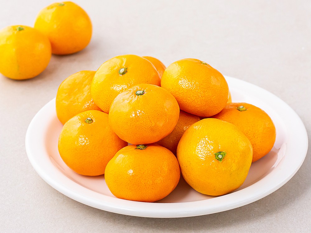 상품 상세 이미지 3