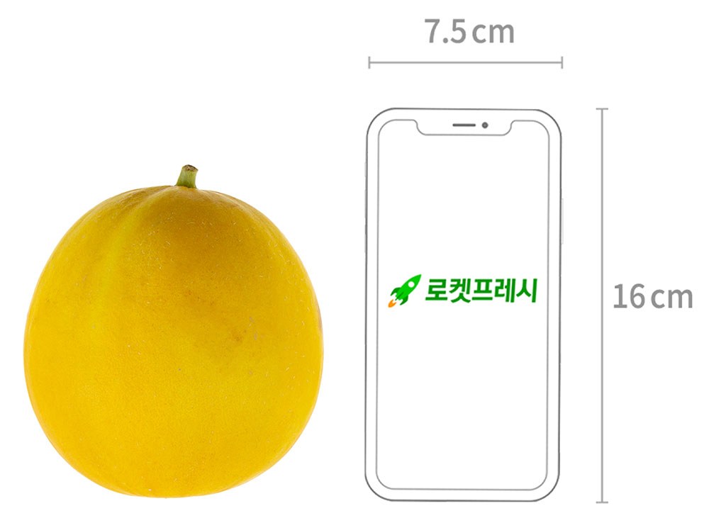 GuamPick Yanggu Melon , 1.8 kg(2~3 Pack ), 1 Pack (곰곰 양구 멜론, 1.8kg(2~3입), 1개)