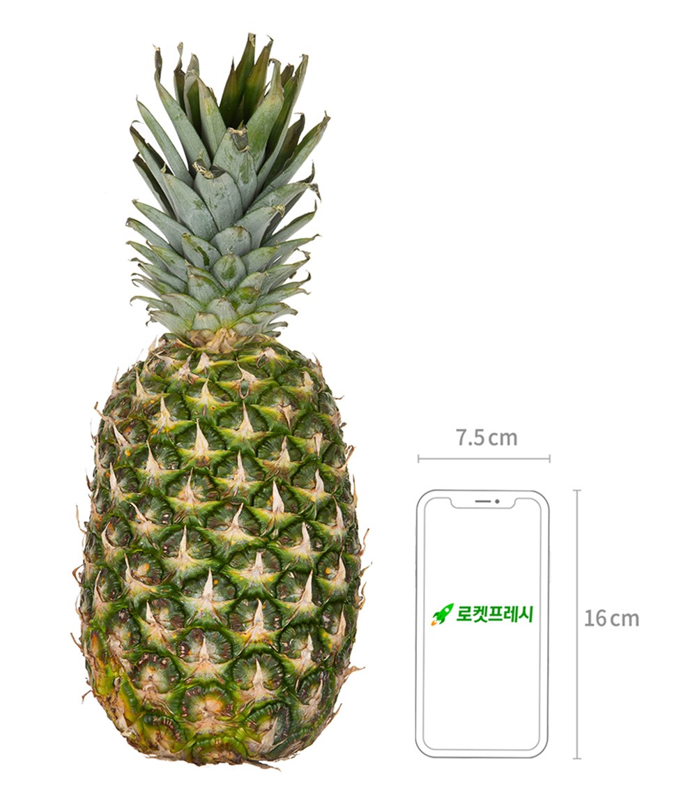 Seuwitio Pineapple Teukdae , 2.1 kg, 1 Pack (스위티오 파인애플 특대, 2.1kg, 1개)