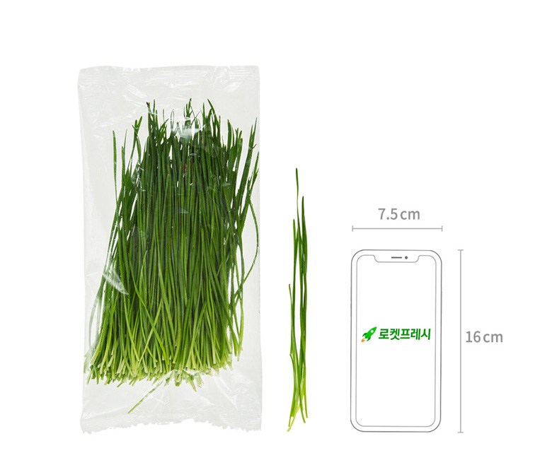 Nutrition Korean Chive , 100 g, 1 Pack (영양부추, 100g, 1개)