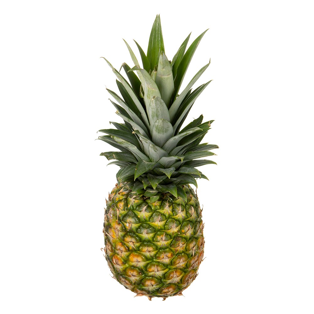 Seuwitio Pineapple Teuk , 1500 g, 1 Pack (스위티오 파인애플 특, 1500g, 1개)