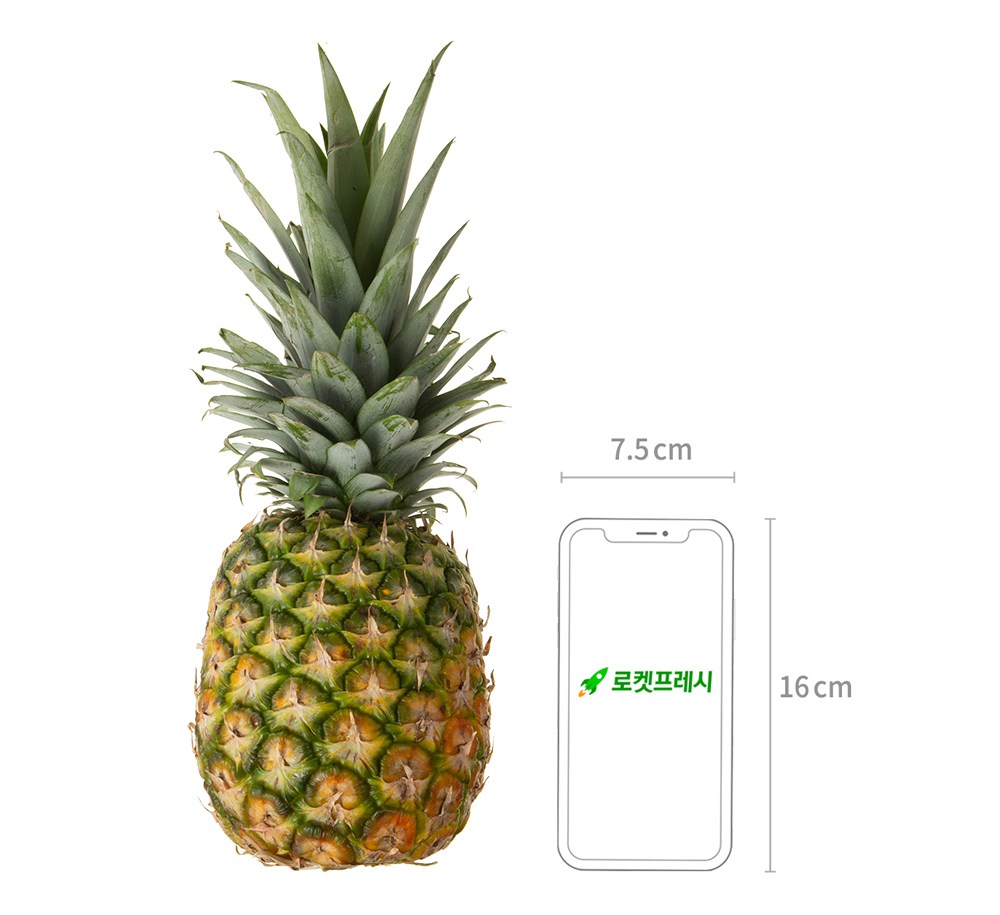 Seuwitio Pineapple Teuk , 1500 g, 1 Pack (스위티오 파인애플 특, 1500g, 1개)