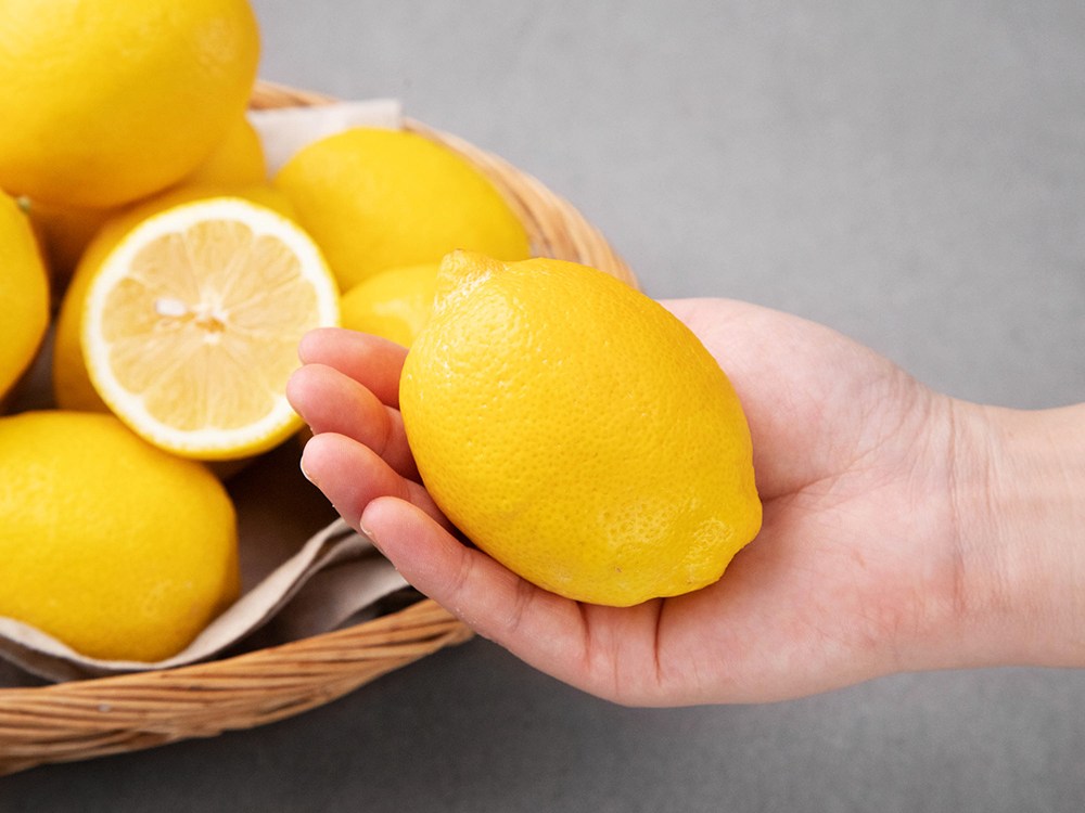 Manna Miguk Lemon , 4 kg, 1 Pack (만나 미국 레몬, 4kg, 1개)