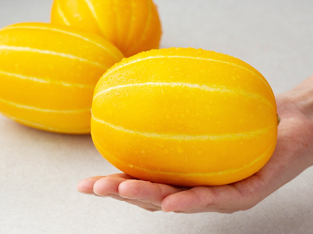 Saebyeokgyeong Sheets Crunchy Dalkom Korean Melon , 600 g(2 Pack ), 1 Pack (새벽경매 아삭달콤 참외, 600g(2입), 1개)