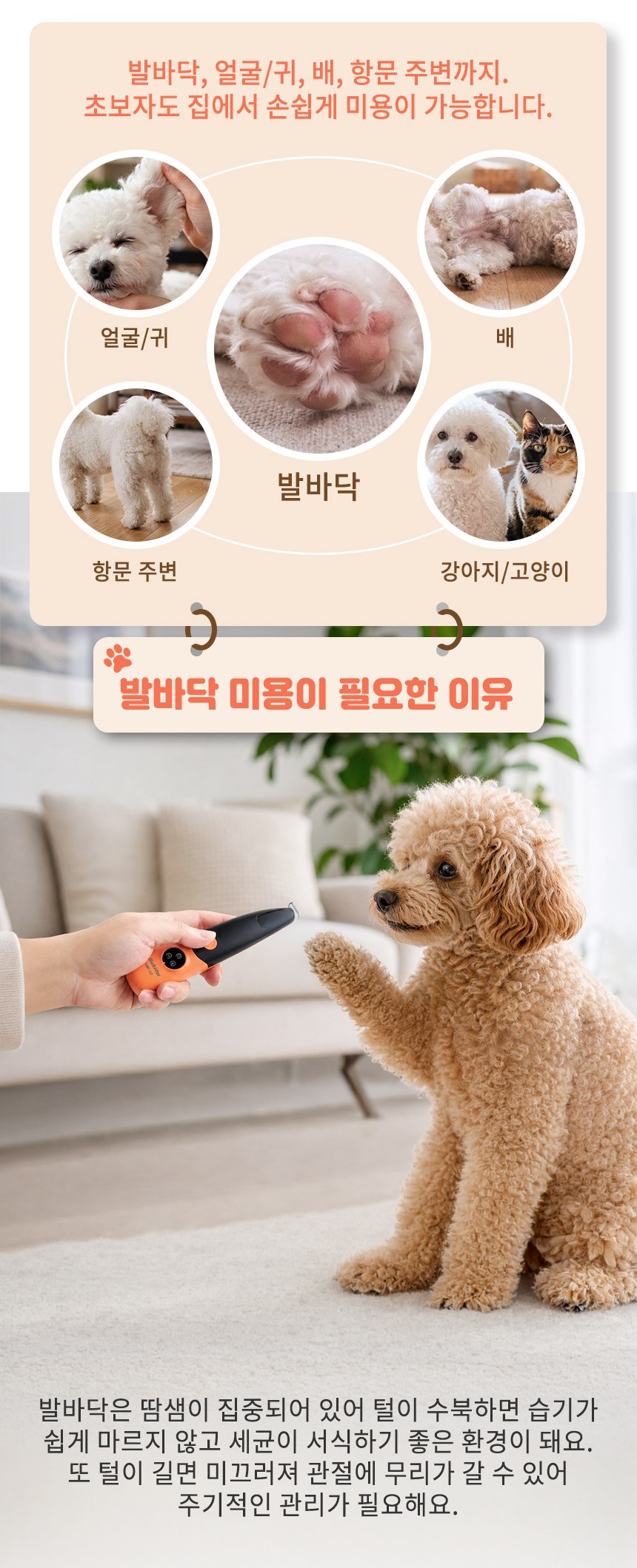 상품 상세 이미지 2