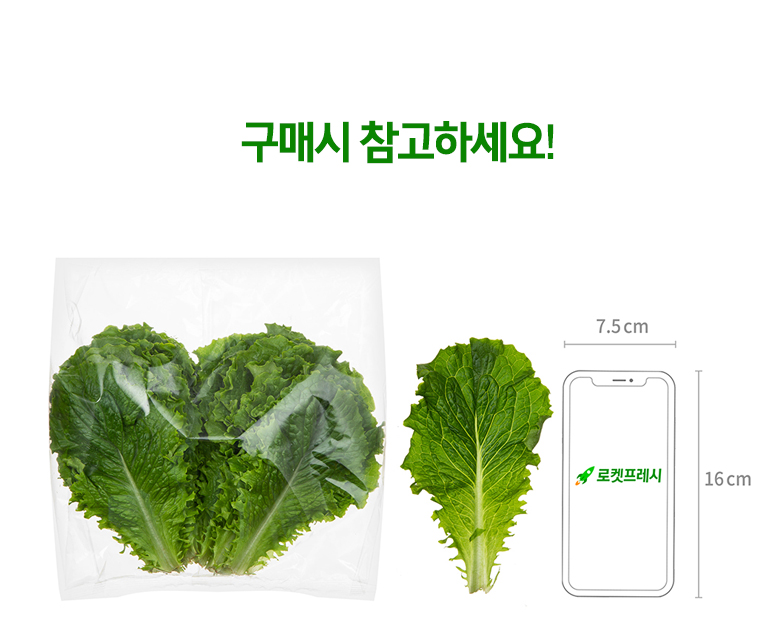 Domestic Green Lettuce (국내산 청상추)