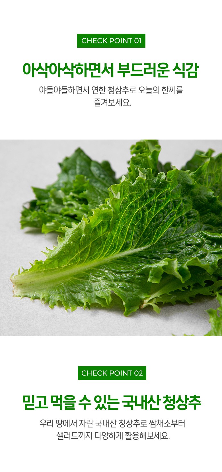 Domestic Green Lettuce (국내산 청상추)