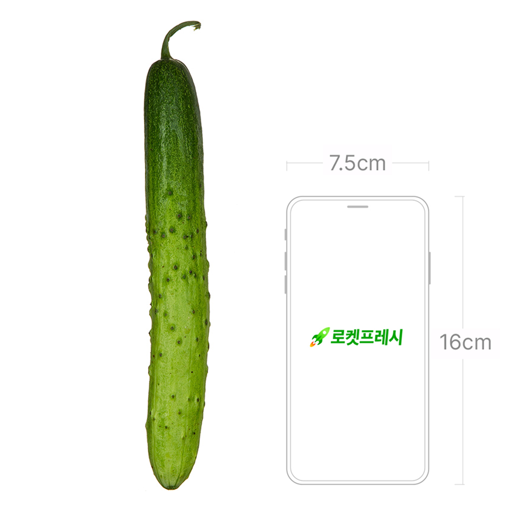 GAP Baek Cucumber , 3 Pack Pack , 1 Pack (GAP 백오이, 3개입, 1개)