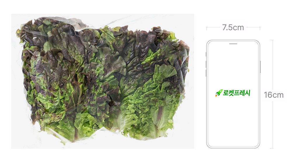 Domestic Eco-friendly Red Lettuce , 200 g, 1 Pack (국내산 친환경 적상추, 200g, 1개)