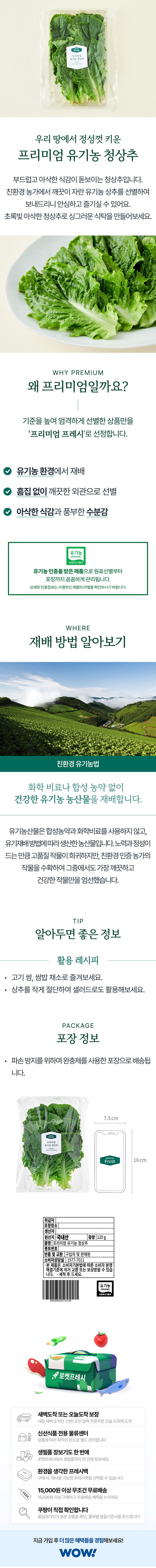 Organic Green Lettuce , 120 g, 1 Pack (프리미엄 유기농 청상추, 120g, 1개)