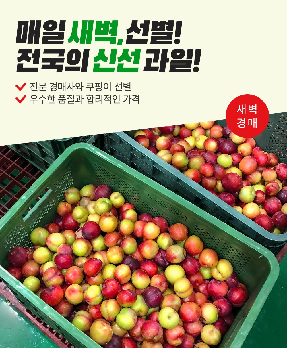 Saebyeokgyeong Sheets Saekomdalkom Hauseu Kkoma Plum , 300 g(7~9 Pack ), 1 Pack (새벽경매 새콤달콤 하우스 꼬마자두, 300g(7~9입), 1팩)