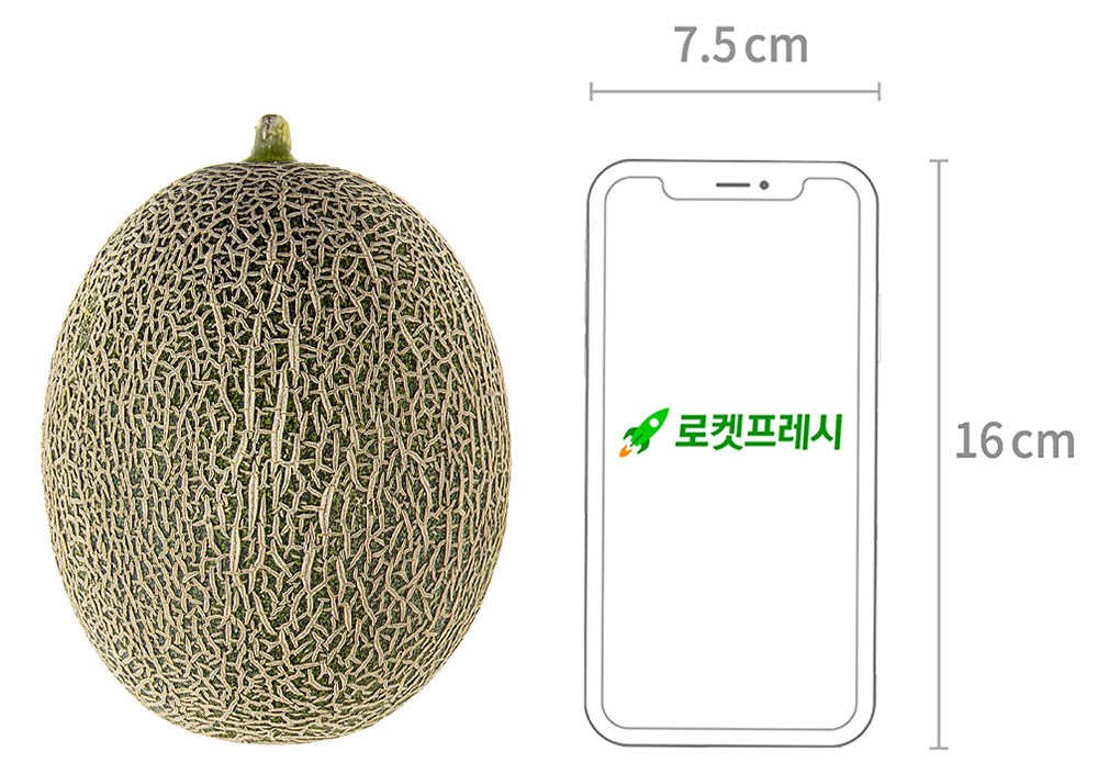 GuamPick High Sweetness Hami Melon (곰곰 고당도 하미과 멜론)