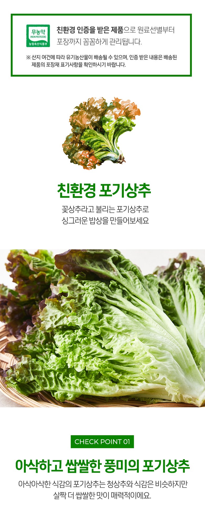 Eco-friendly Packets Gisangchu , 250 g, 1 Pack (친환경 포기상추, 250g, 1개)