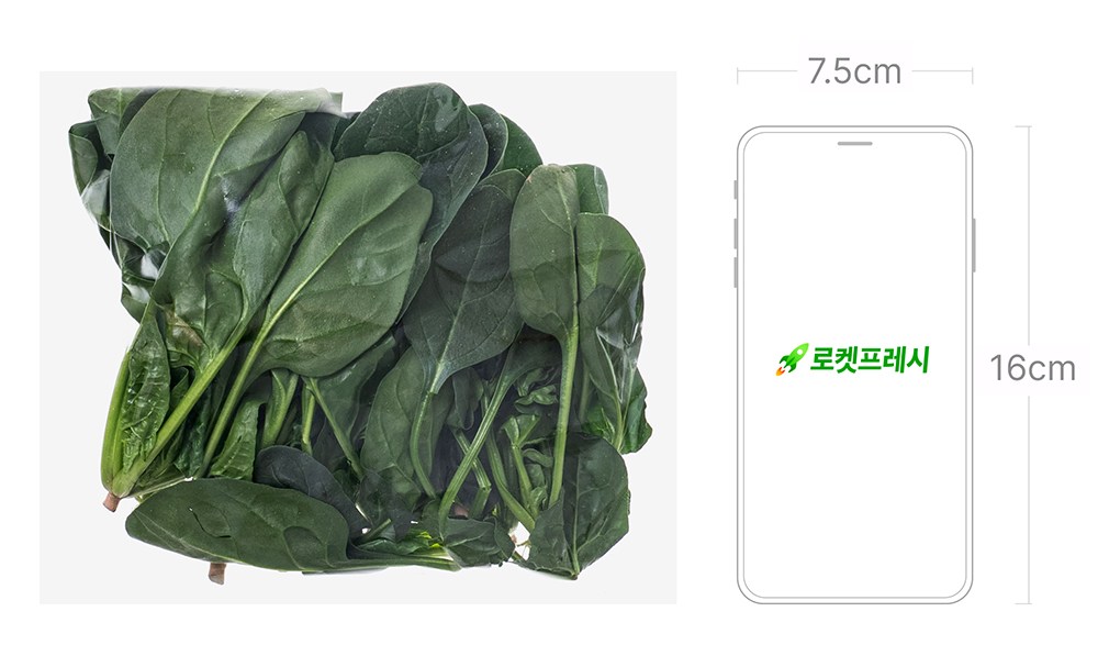 Eco-friendly Injeung Baby Sigeumchi , 100 g, 1 Pack (친환경 인증 베이비 시금치, 100g, 1개)