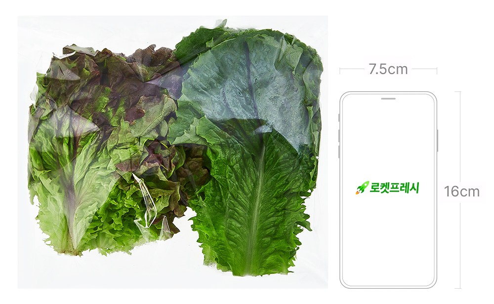 Banban Sangchu , 200 g, 1 Pack (반반 상추, 200g, 1개)