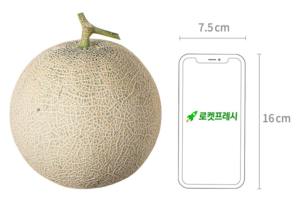 GuamPick Set Ji Meron , 2 kg, 1 Pack (곰곰 세지 메론, 2kg, 1개)