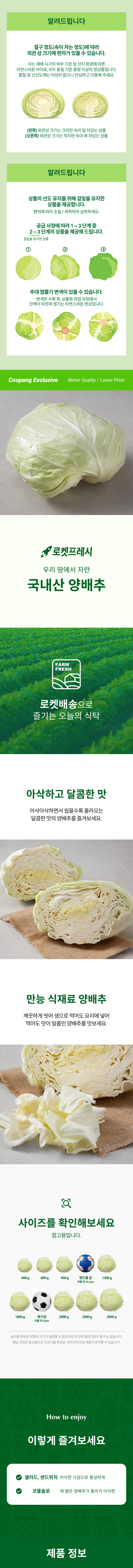 국내산 양배추 원본 상세 안내 1