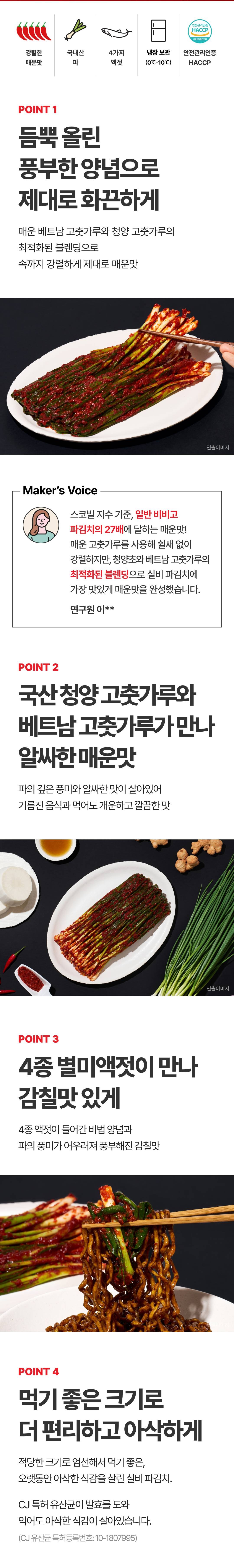 CJ CheilJedang Seup Silbi Pa Kimchi , 500 g, 1 Pack (CJ제일제당 습 실비 파김치, 500g, 1개)