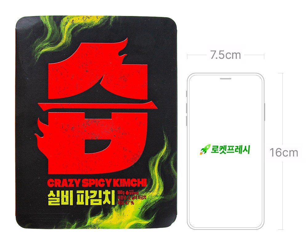 CJ CheilJedang Seup Silbi Pa Kimchi , 500 g, 1 Pack (CJ제일제당 습 실비 파김치, 500g, 1개)