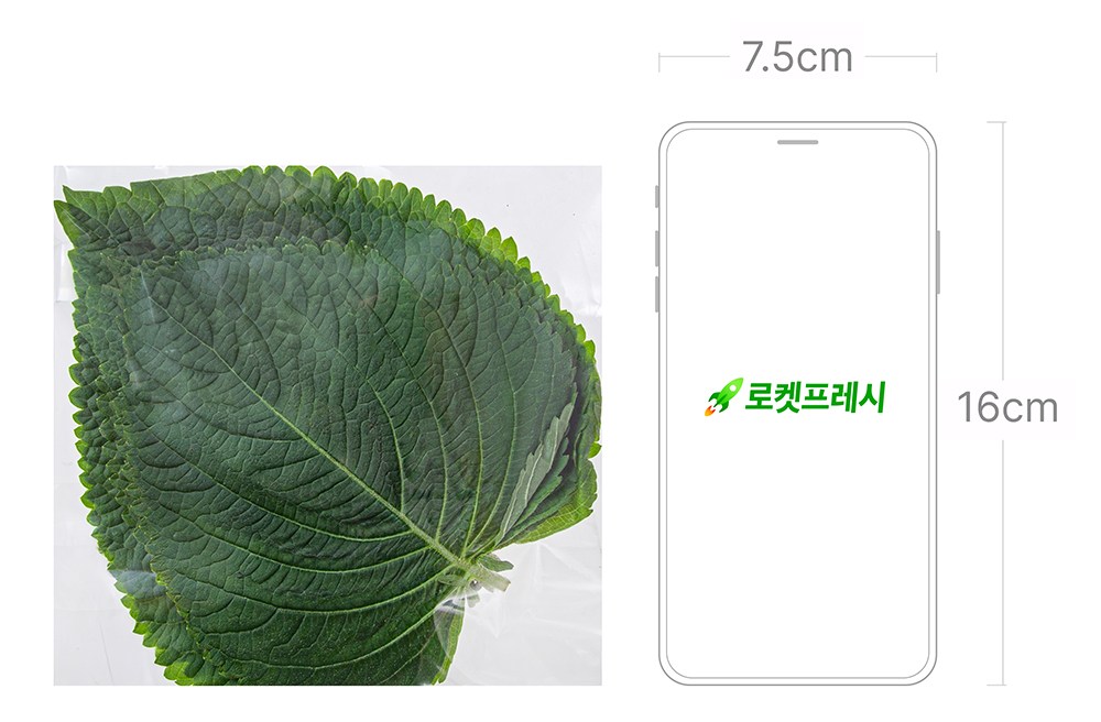 Eco-friendly Miryang Perilla Leaves , 30 g, 1 Pack (친환경 밀양 깻잎, 30g, 1팩)