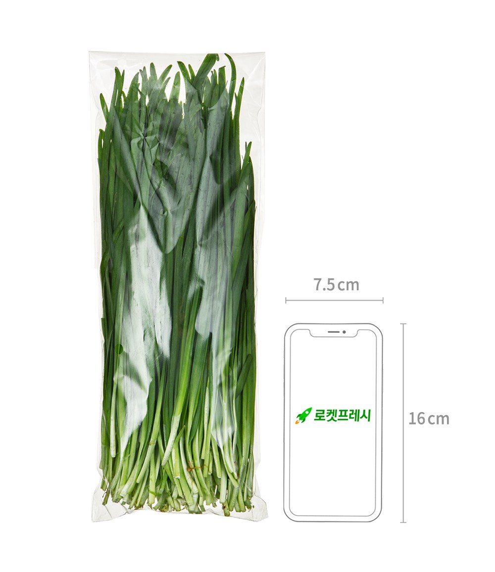 Gimhae Daedong Korean Chive , 300 g, 1 Pack (김해 대동 부추, 300g, 1개)