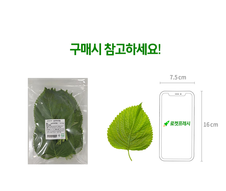 GAP Chubu Perilla Leaves , 100 g, 1 Pack (GAP 추부 깻잎, 100g, 1팩)