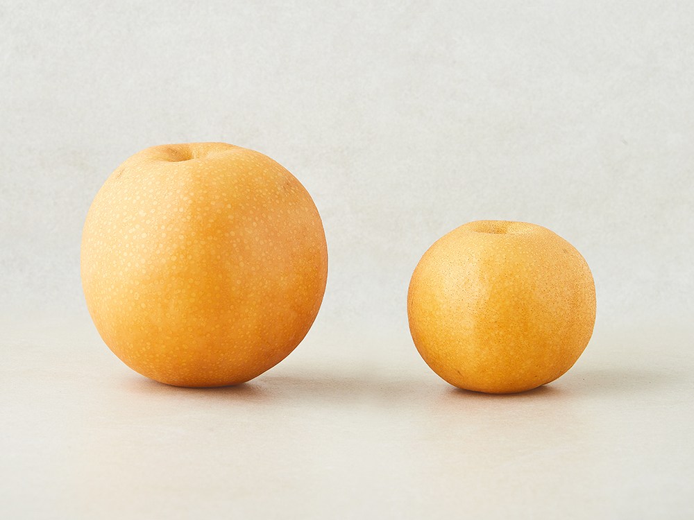 Wonnongsan Dae King Pear 3 Pack Pack , 1 Pack , 3 kg (원농산 대왕배 3개입, 1개, 3kg)