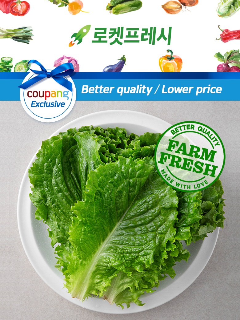 Domestic Eco-friendly Green Lettuce , 200 g, 1 Bag (국내산 친환경 청상추, 200g, 1봉)
