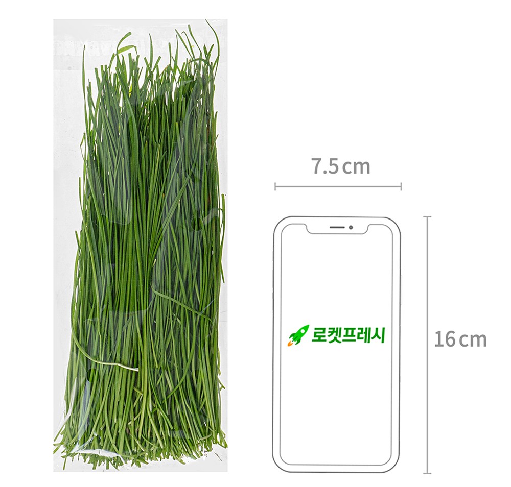 Eco-friendly Nutrition Korean Chive , 100 g, 1 Pack (친환경 영양부추, 100g, 1개)