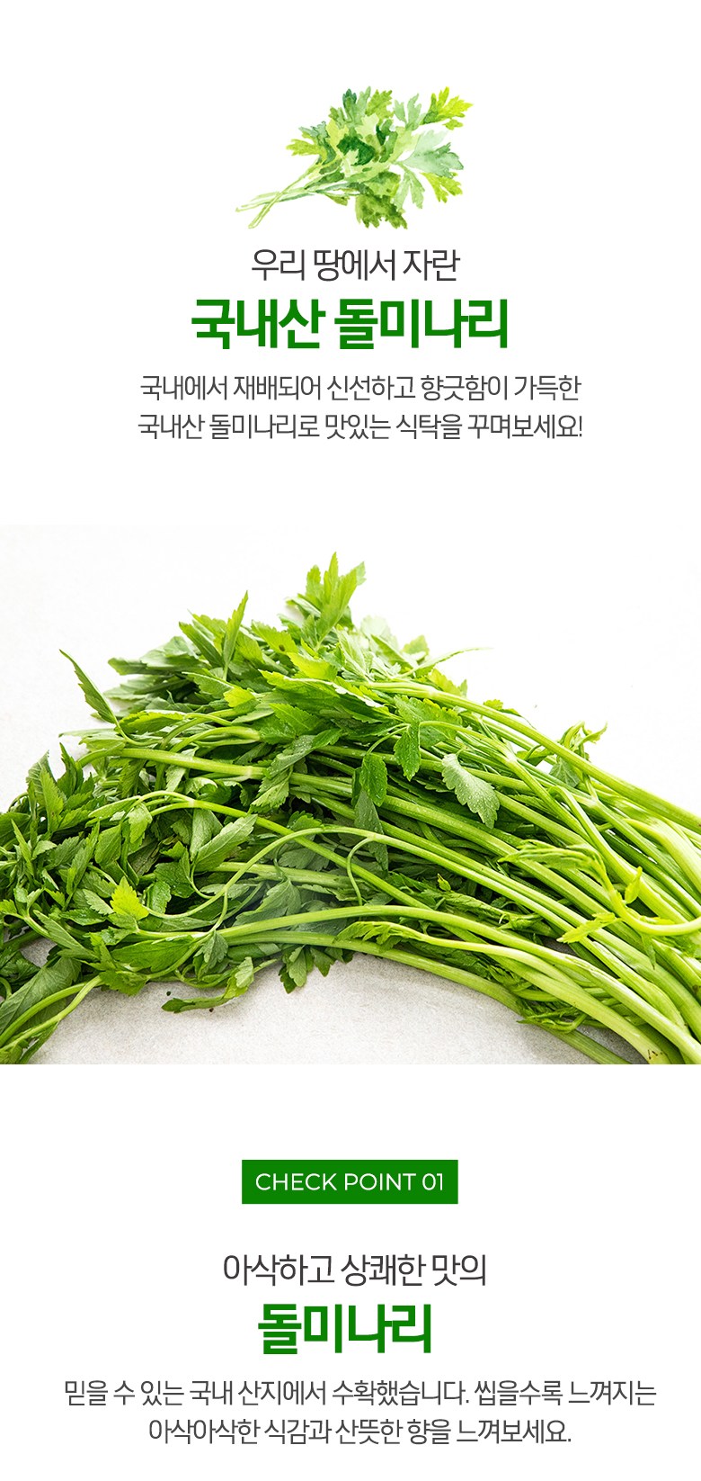 Dol Water Dropwort , 200 g, 1 Pack (돌미나리, 200g, 1개)