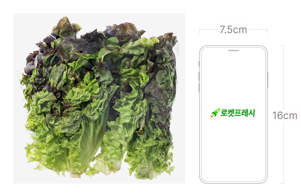 Eco-friendly Kki Red Lettuce , 80 g, 1 Pack (친환경 한끼 적상추, 80g, 1개)