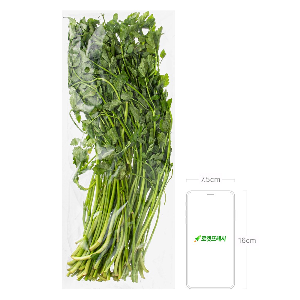 Domestic Eco-friendly Water Dropwort , 200 g, 1 Pack (국내산 친환경 미나리, 200g, 1개)