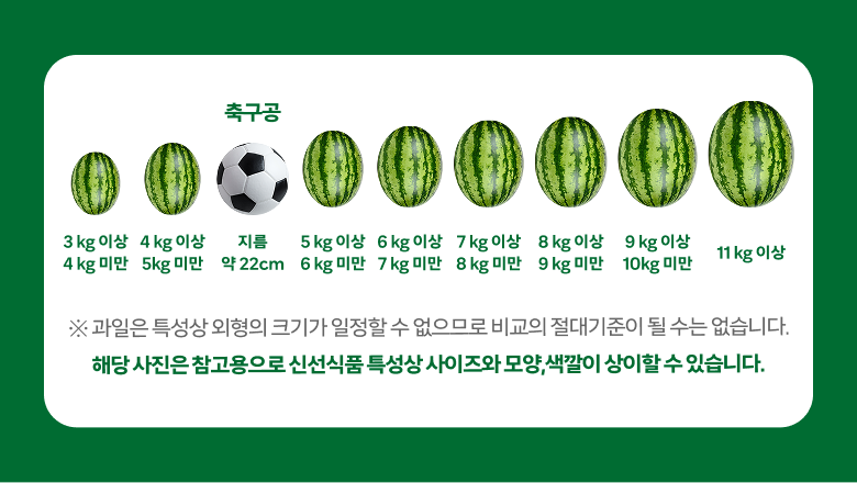 GuamPick High Sweetness Watermelon , 7 KG Sang , 1 Pack (곰곰 고당도 수박, 7KG 이상, 1개)