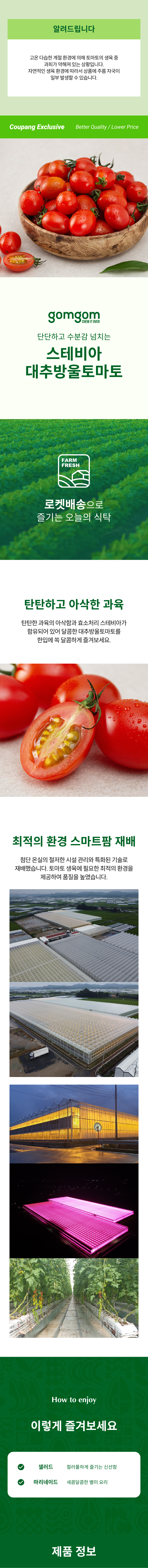 GuamPick Seutebia Daechu Cherry Tomato , 500 g, 1 Pack (곰곰 스테비아 대추방울토마토, 500g, 1팩)