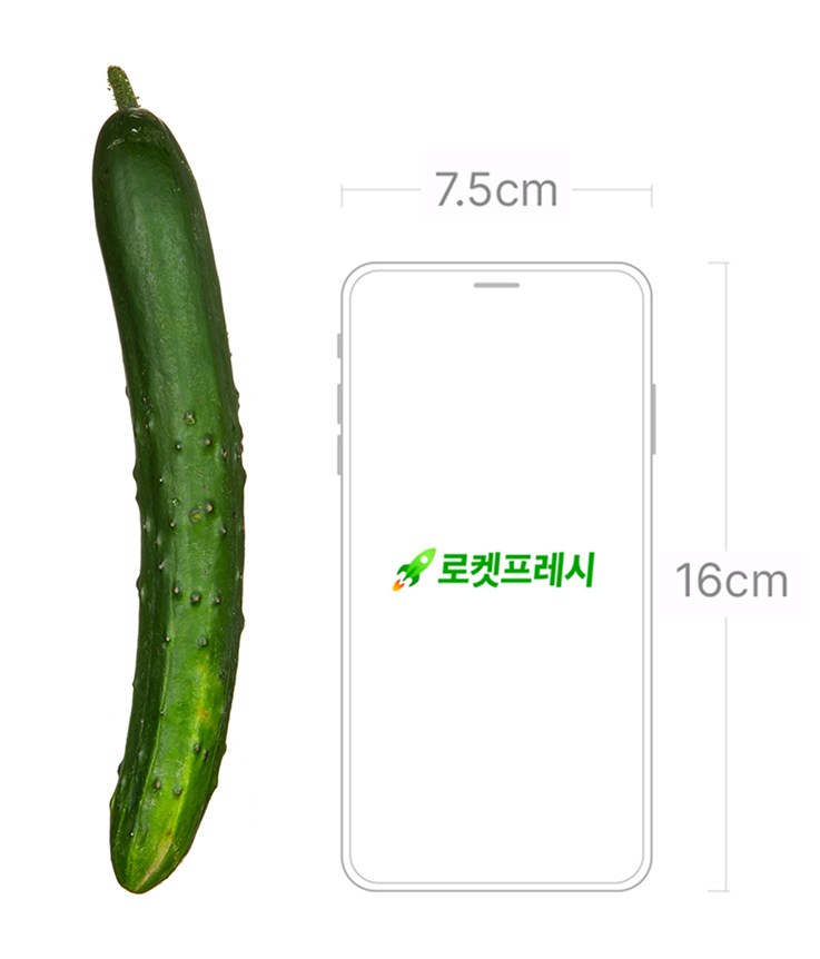 Crunchy Cucumber , 5 Pack Pack , 1 Pack (아삭오이, 5개입, 1개)