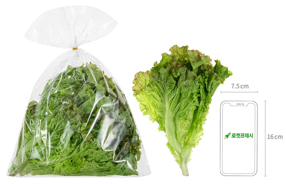 Domestic Packets Gisangchu , 300 g, 1 Pack (국내산 포기상추, 300g, 1개)