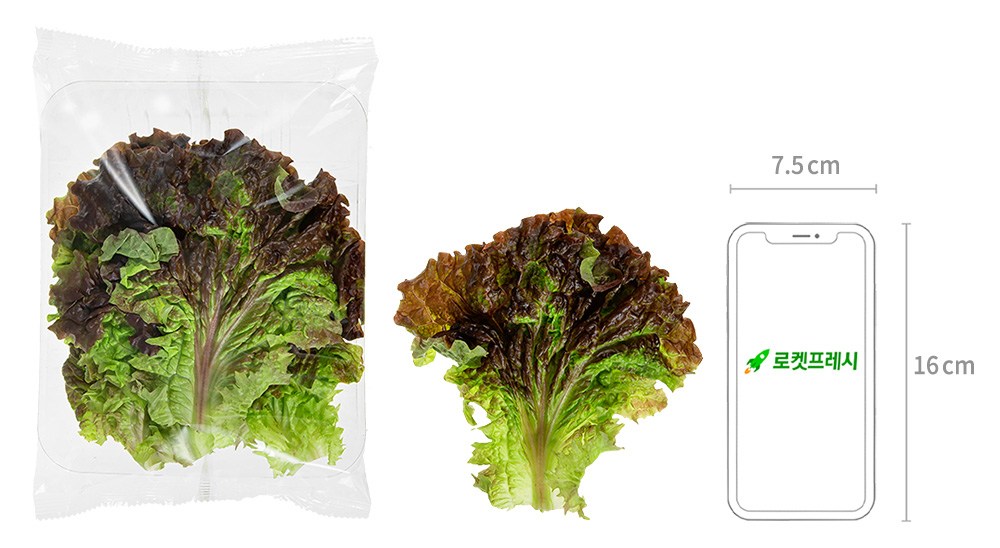 Domestic Kki Red Lettuce , 80 g, 1 Pack (국내산 한끼 적상추, 80g, 1개)