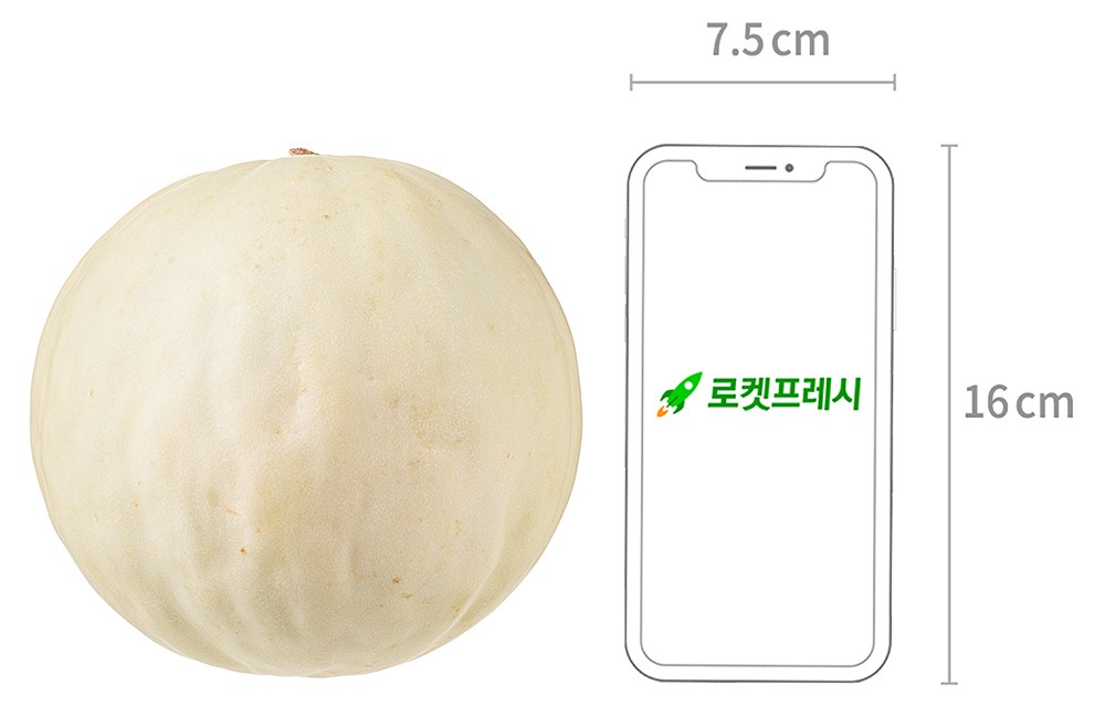 Heonidyu Meron , 1.6 kg, 1 Pack (허니듀 메론, 1.6kg, 1개)
