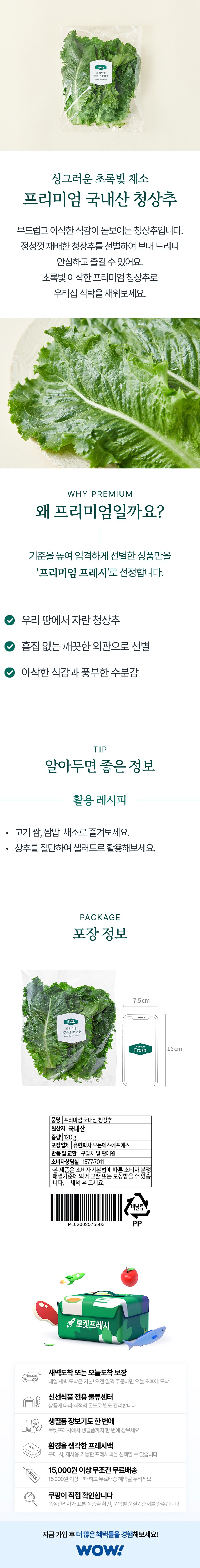 Domestic Green Lettuce , 120 g, 1 Pack (프리미엄 국내산 청상추, 120g, 1개)