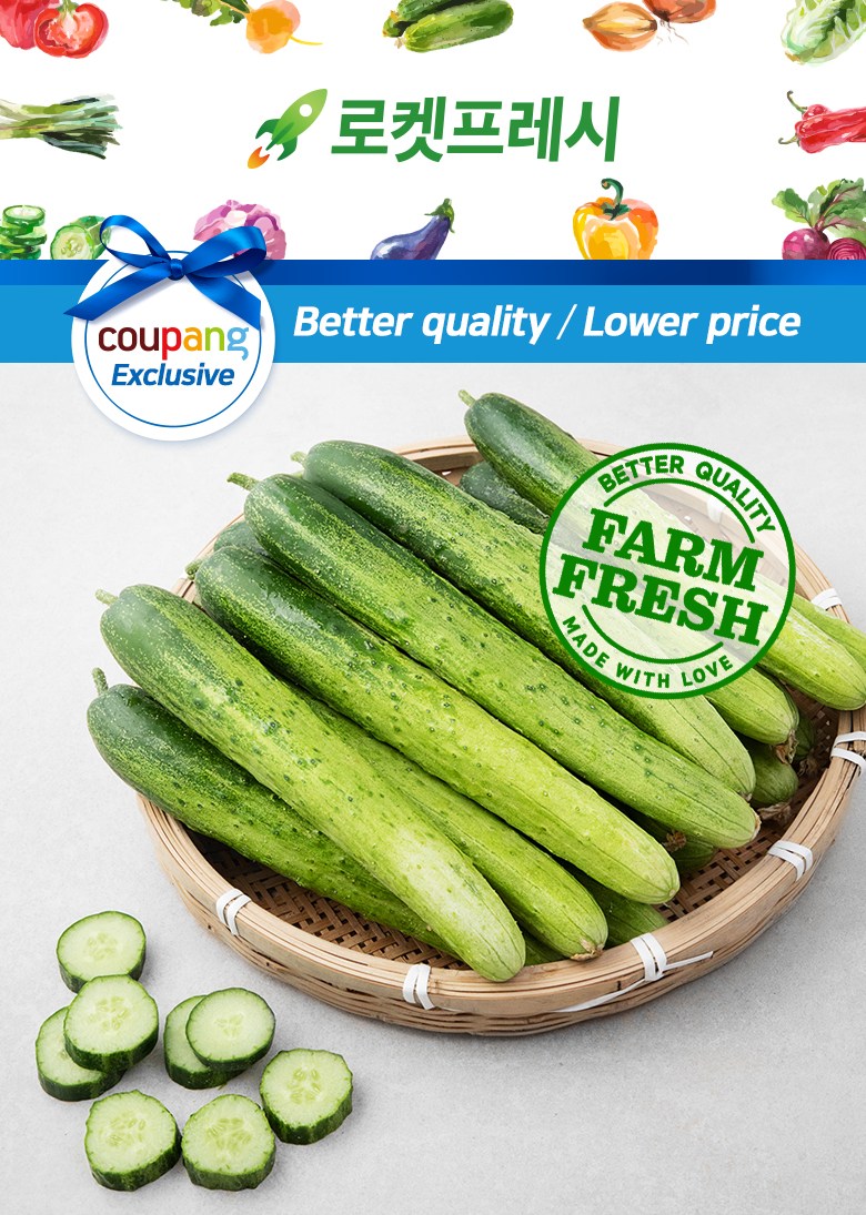 Pikeul & Cucumber Jiyong Dadagi Cucumber , 20 Pack , 1 Bag (피클&오이지용 다다기오이, 20입, 1봉)