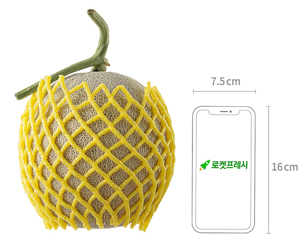 Nonghyup Yumyeongsanji Melon , 1 Pack , 2 kg Sang (농협 유명산지 멜론, 1입, 2kg 이상)