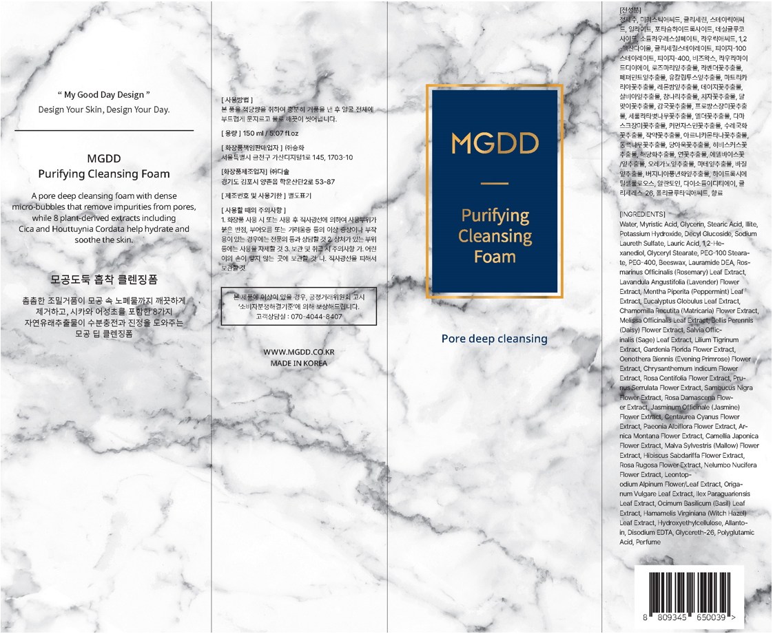 Pore Duk Heupchak Foam Cleanser , 150 ml, 1 Pack (모공도둑 흡착 폼 클렌저, 150ml, 1개)