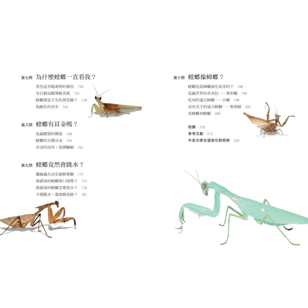 狗拉白色的屎粉末怎么回事- 抖音, image size:1024x1024